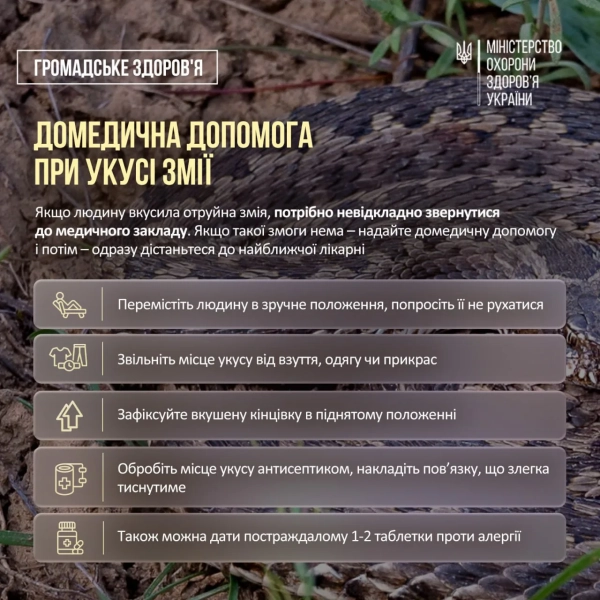 Укуси змій в Україні: 30 постраждалих, 4 дитини 9 Укуси змій в Україні: 30 постраждалих, 4 дитини 7