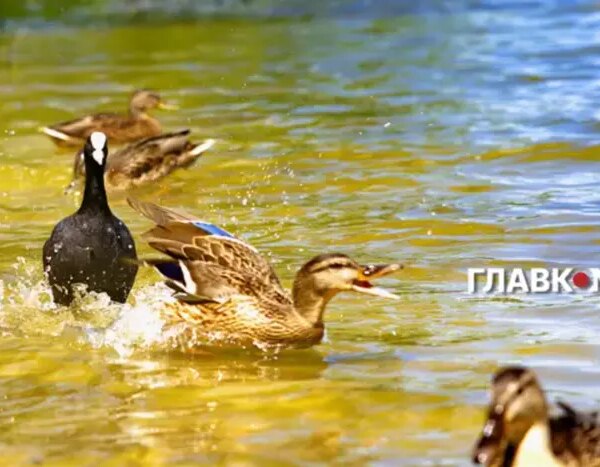 Спека до +40°: коли в Україні стане прохолодніше