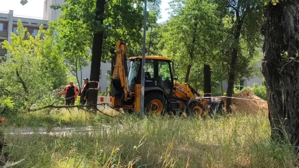 Конфлікт у Києві: тепломережа проти парку. Подробиці
