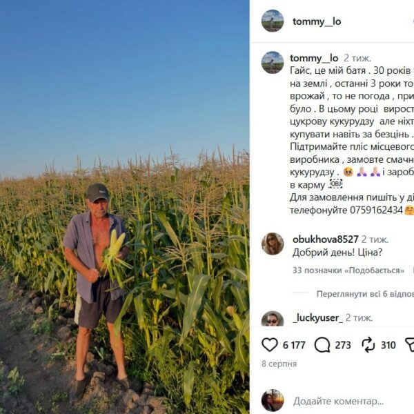 Кукурудза-хіт: 6000 качанів розкуплено за 3 дні!