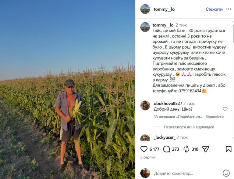 Кукурудза-хіт: 6000 качанів розкуплено за 3 дні! 14 Кукурудза-хіт: 6000 качанів розкуплено за 3 дні! 4