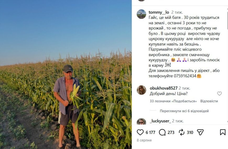 Головна 39 Кукурудза-хіт: 6000 качанів розкуплено за 3 дні!