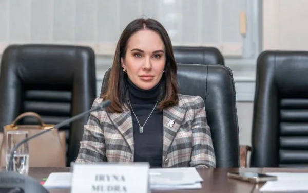 Мудрий під підозрою: адвокат розкрив деталі справи