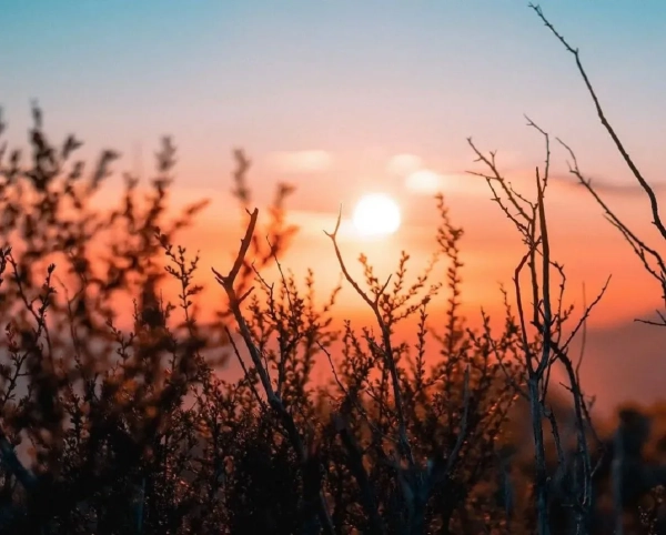 Спека до +38°C та грози: прогноз погоди 3 серпня
