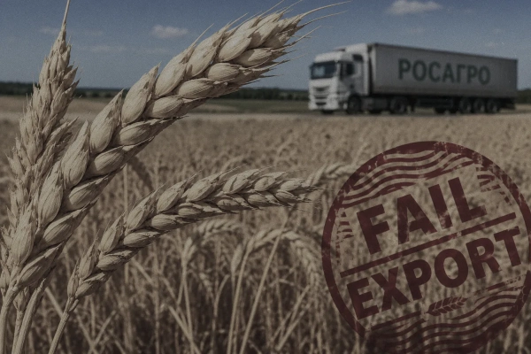 Росія втрачає доходи: не встигає вивезти зерно