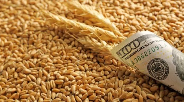 Експортери агропродукції: розрахунки продовжено на 180 днів