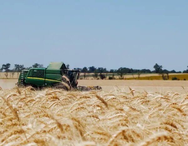 Ціни на зерно: Україна та світ за тиждень