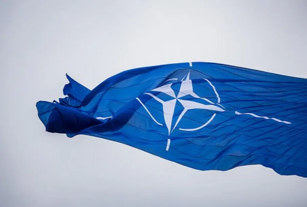 Радник президента Литви: Чіткої “червоної лінії” НАТО немає