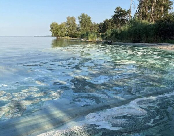 Цвітіння води в Україні: екологиня розкрила причину