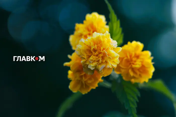 Синоптики назвали день, коли в Україну прийде осіннє похолодання